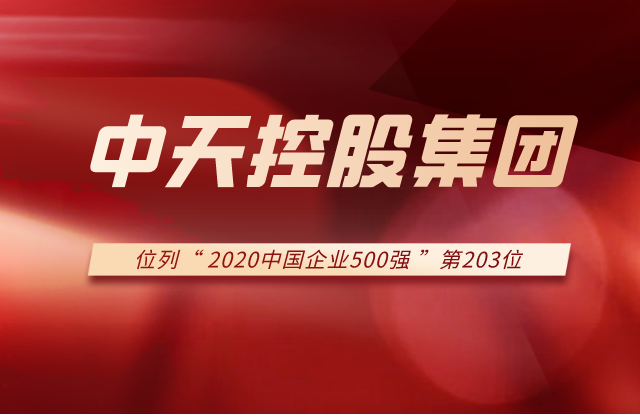 人生就是搏集团列2020中国企业500强第203位！